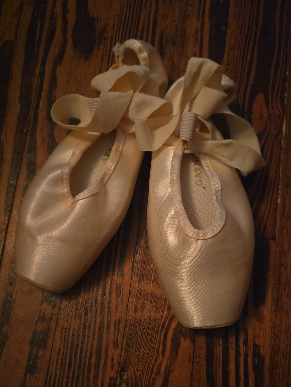 Gaynor Minden Satin Pointe Shoes in Pink